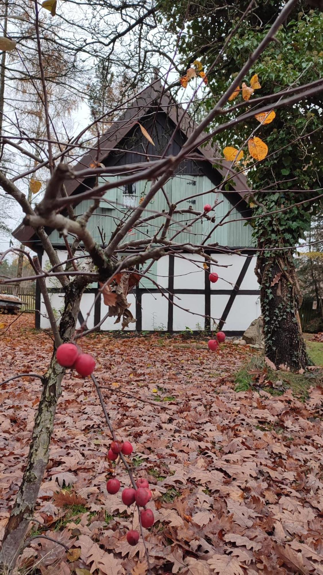 Villa Malanka - Kaszubska Checz Strzepcz Esterno foto